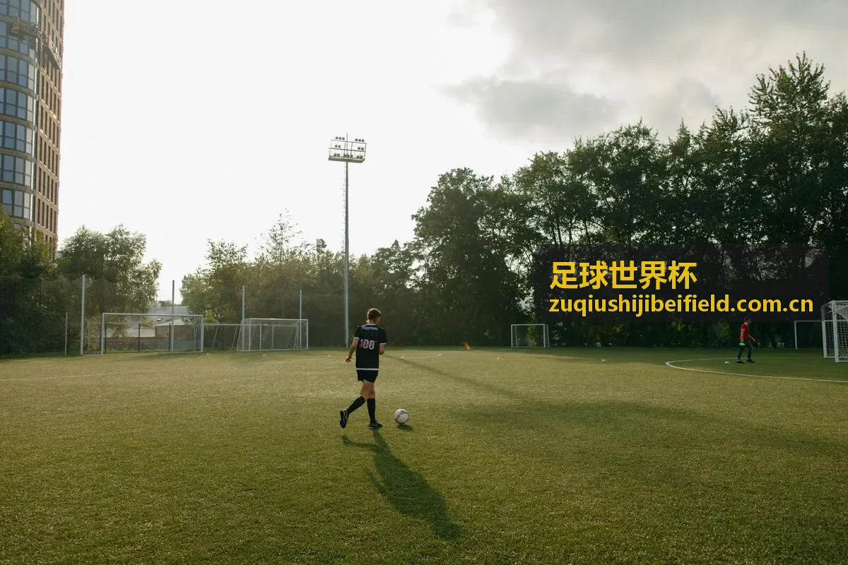 足球世界杯 - 南美区预选赛
